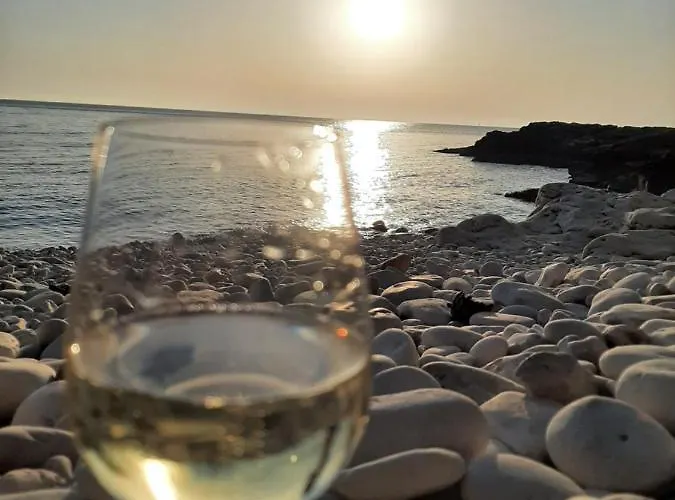 Helles Doppelzimmer Mit Bad, Terrasse Und Pool, Seperater Eingang, Liznjan, Istrien Gæstehus Ližnjan